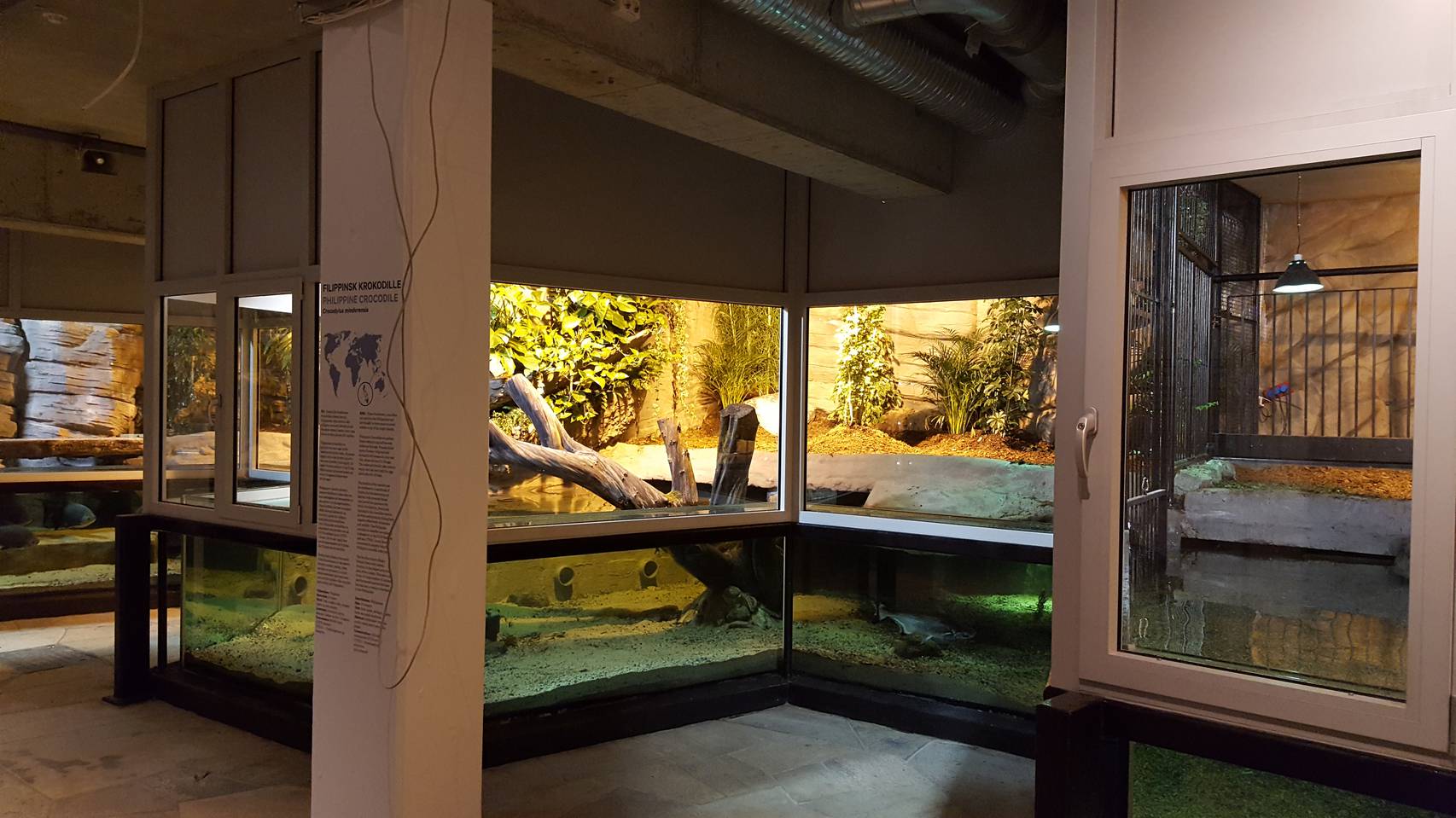 Akvariet i Bergen 5