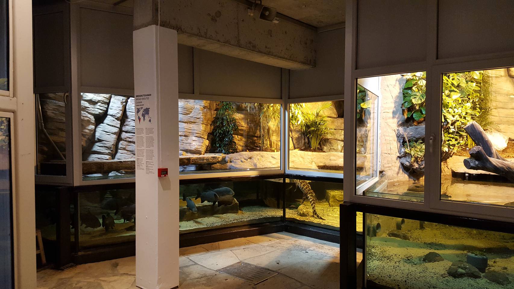 Ikon for Akvariet i Bergen